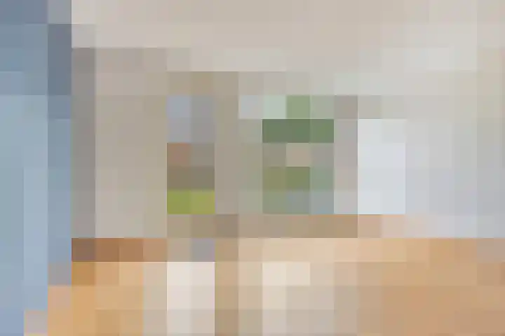 Ravelijn 48 Vijfhuizen thumbnail 4