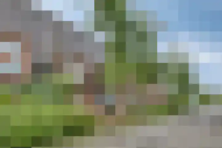 Ravelijn 48 Vijfhuizen thumbnail 5