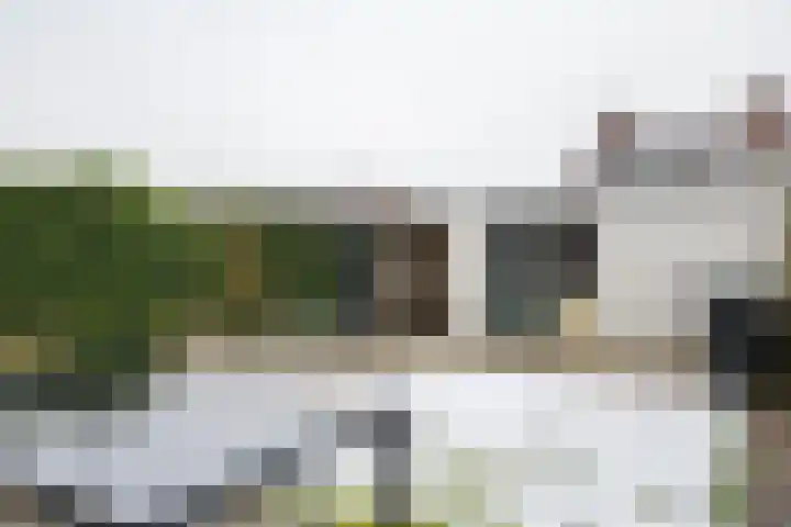Ravelijn 60 Emmen thumbnail 39