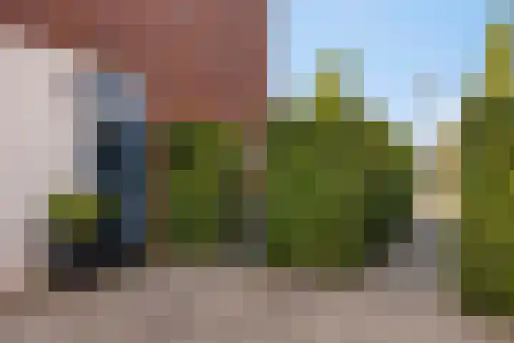 Ravelijn 7 Woudrichem thumbnail 10
