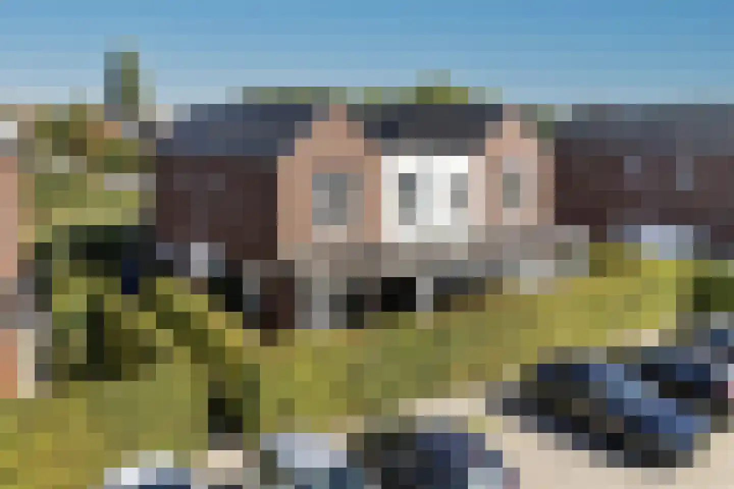 Ravelijn 7 Woudrichem foto 2