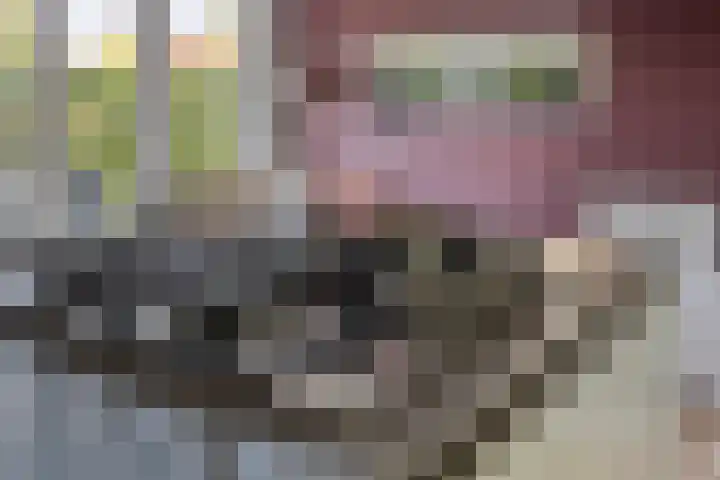 Ravelijn 7 Woudrichem thumbnail 23