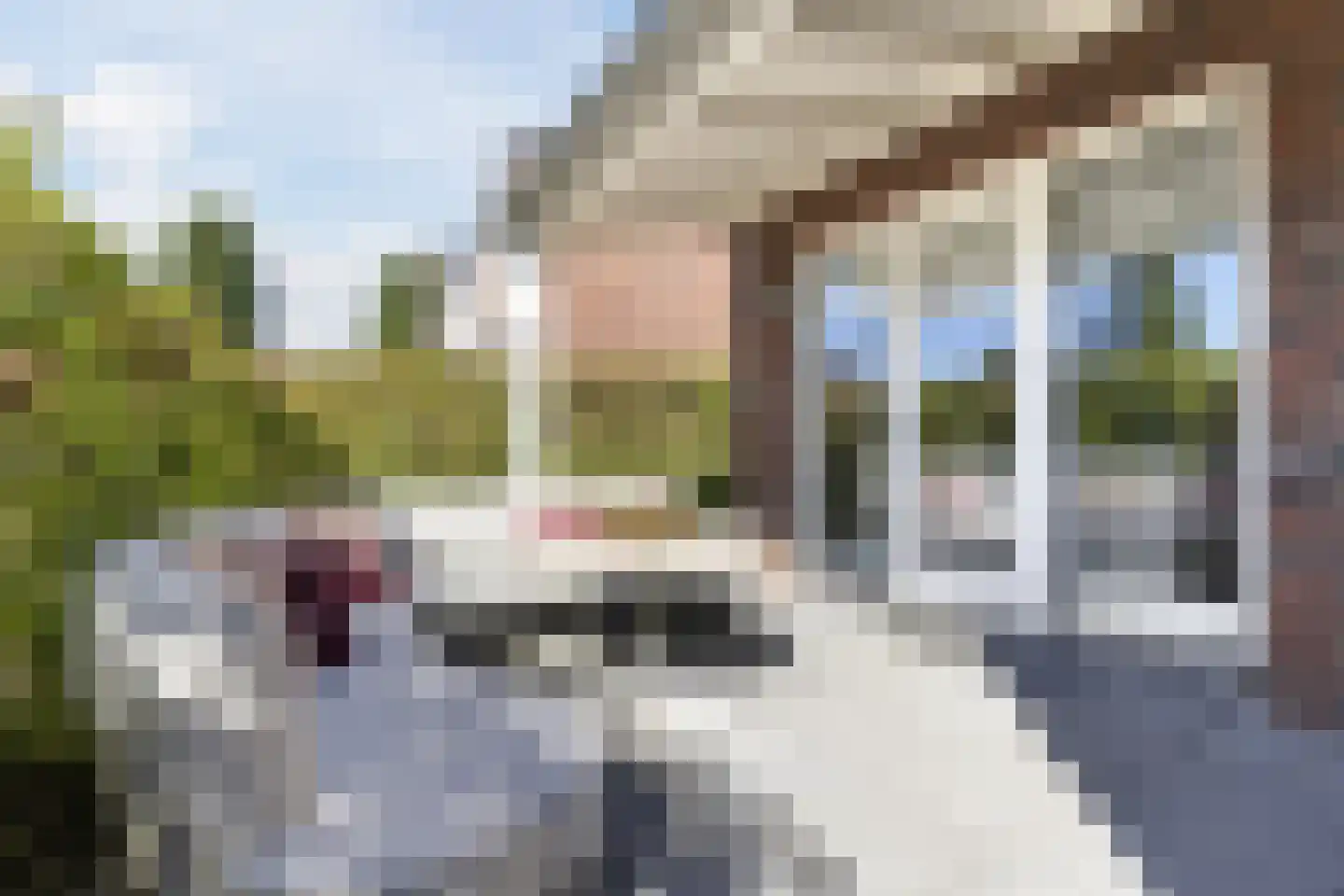 Ravelijn 7 Woudrichem thumbnail 24