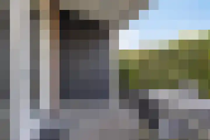 Ravelijn 7 Woudrichem thumbnail 32