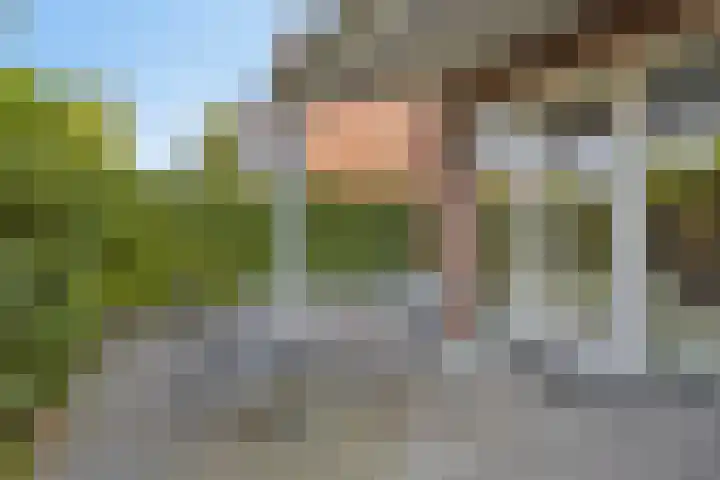Ravelijn 7 Woudrichem thumbnail 34