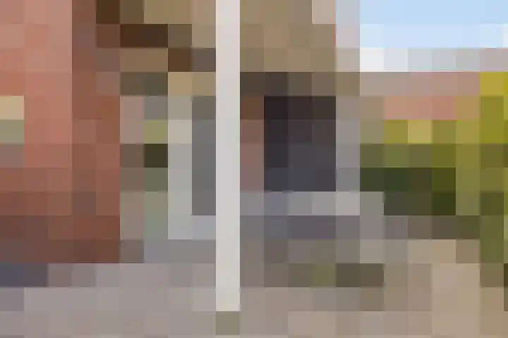 Ravelijn 7 Woudrichem thumbnail 35