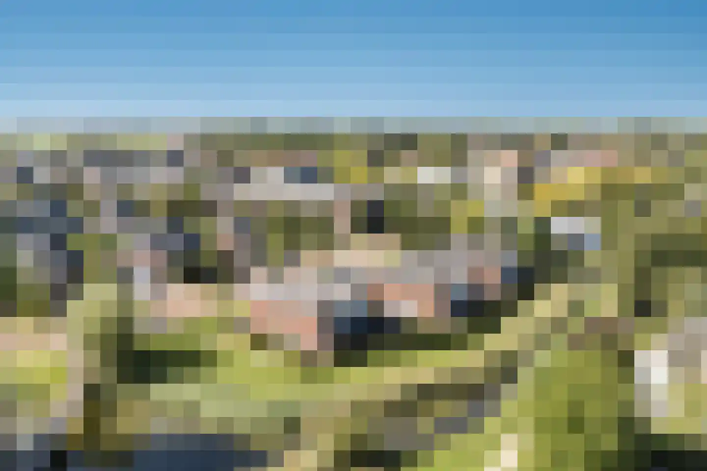 Ravelijn 7 Woudrichem thumbnail 4
