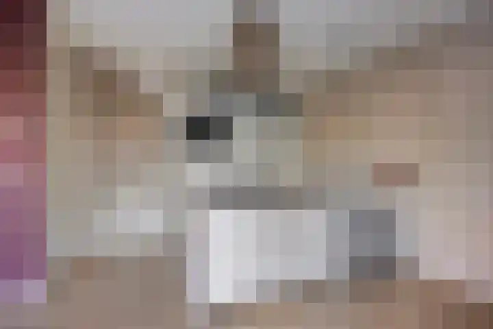 Ravelijn 7 Woudrichem thumbnail 4