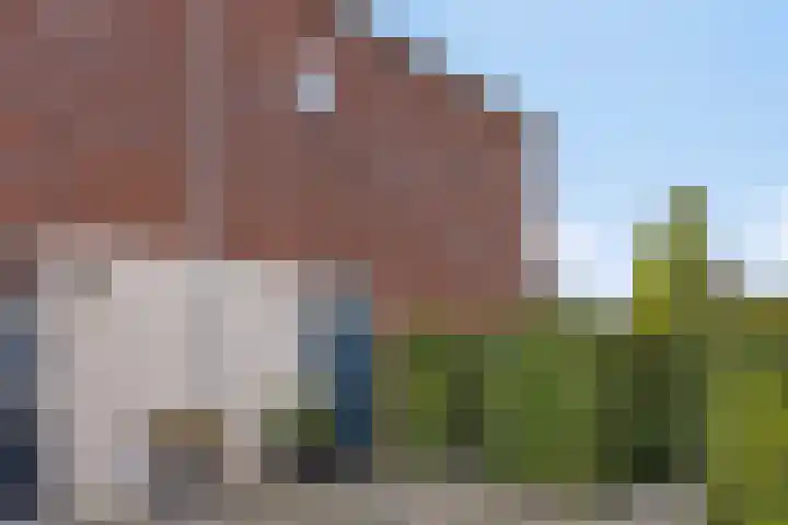 Ravelijn 7 Woudrichem thumbnail 9