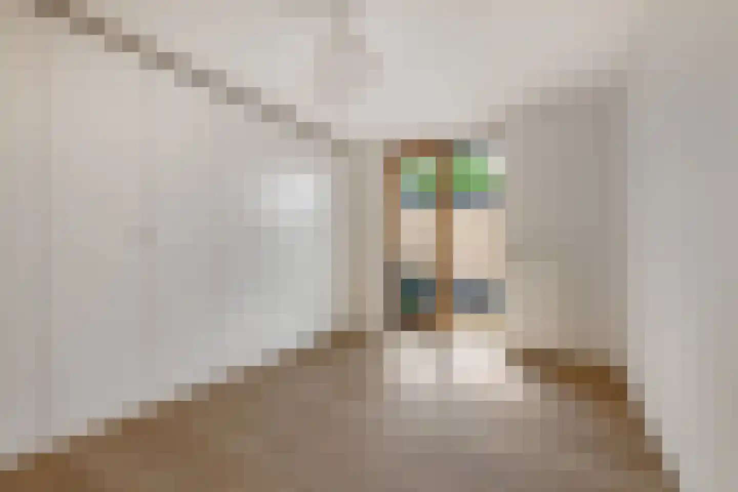 Ravelijn 9 Vijfhuizen thumbnail 13