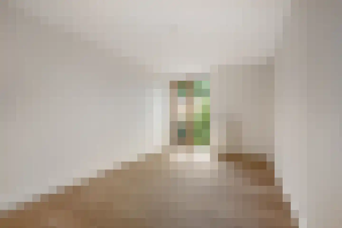 Ravelijn 9 Vijfhuizen thumbnail 14
