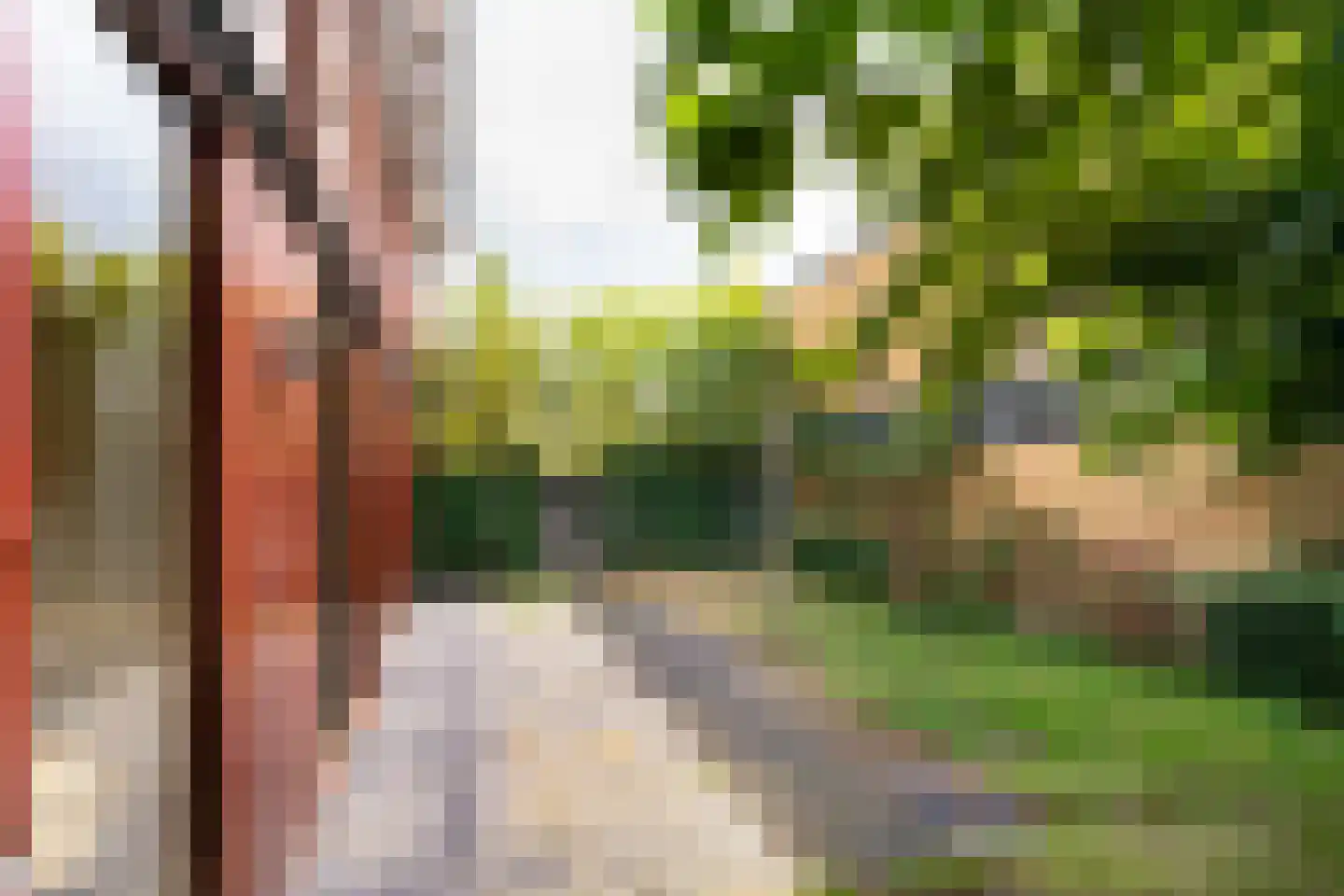 Ravelijn 9 Vijfhuizen thumbnail 21