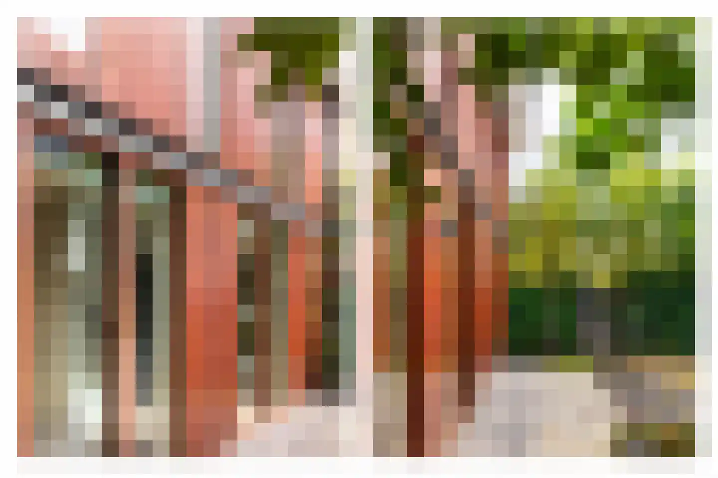 Ravelijn 9 Vijfhuizen thumbnail 22