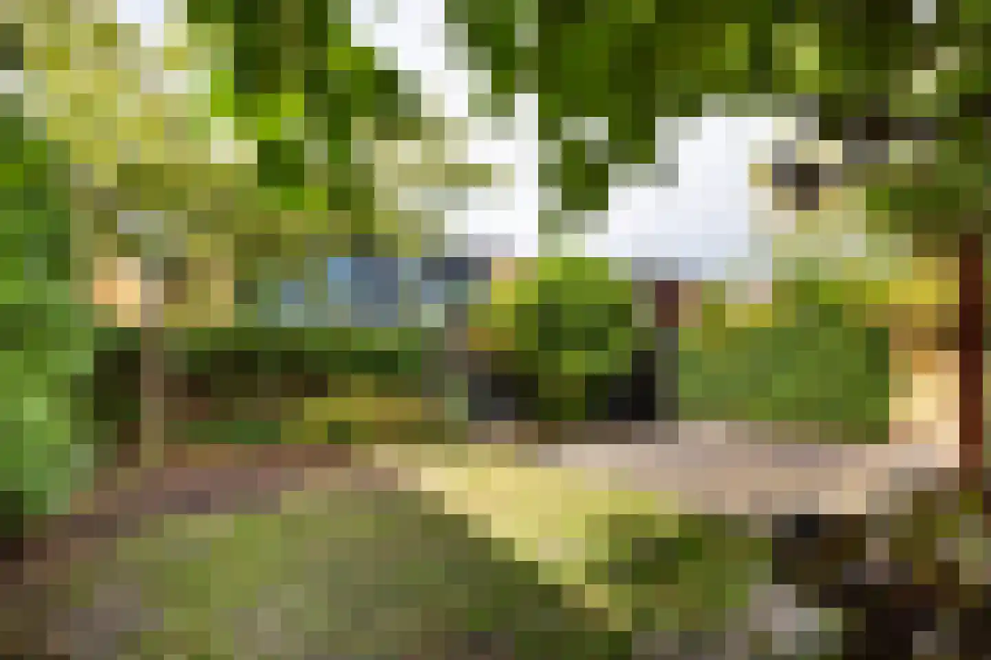 Ravelijn 9 Vijfhuizen thumbnail 24