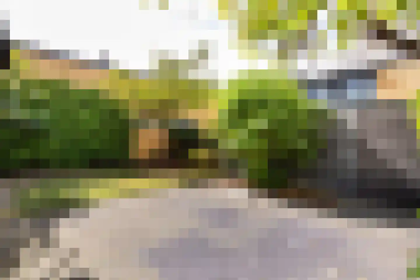 Ravelijn 9 Vijfhuizen thumbnail 25