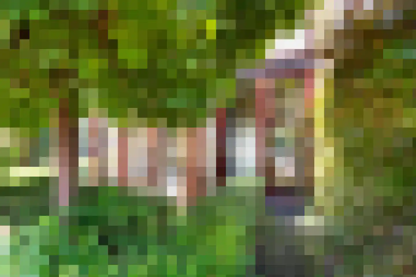 Ravelijn 9 Vijfhuizen thumbnail 26