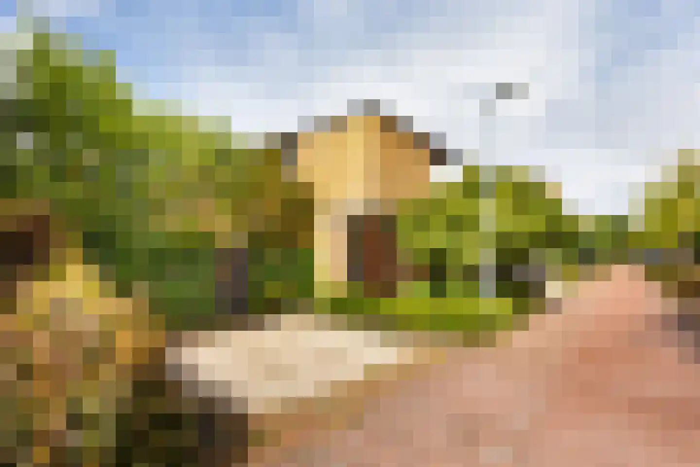 Ravelijn 9 Vijfhuizen thumbnail 27
