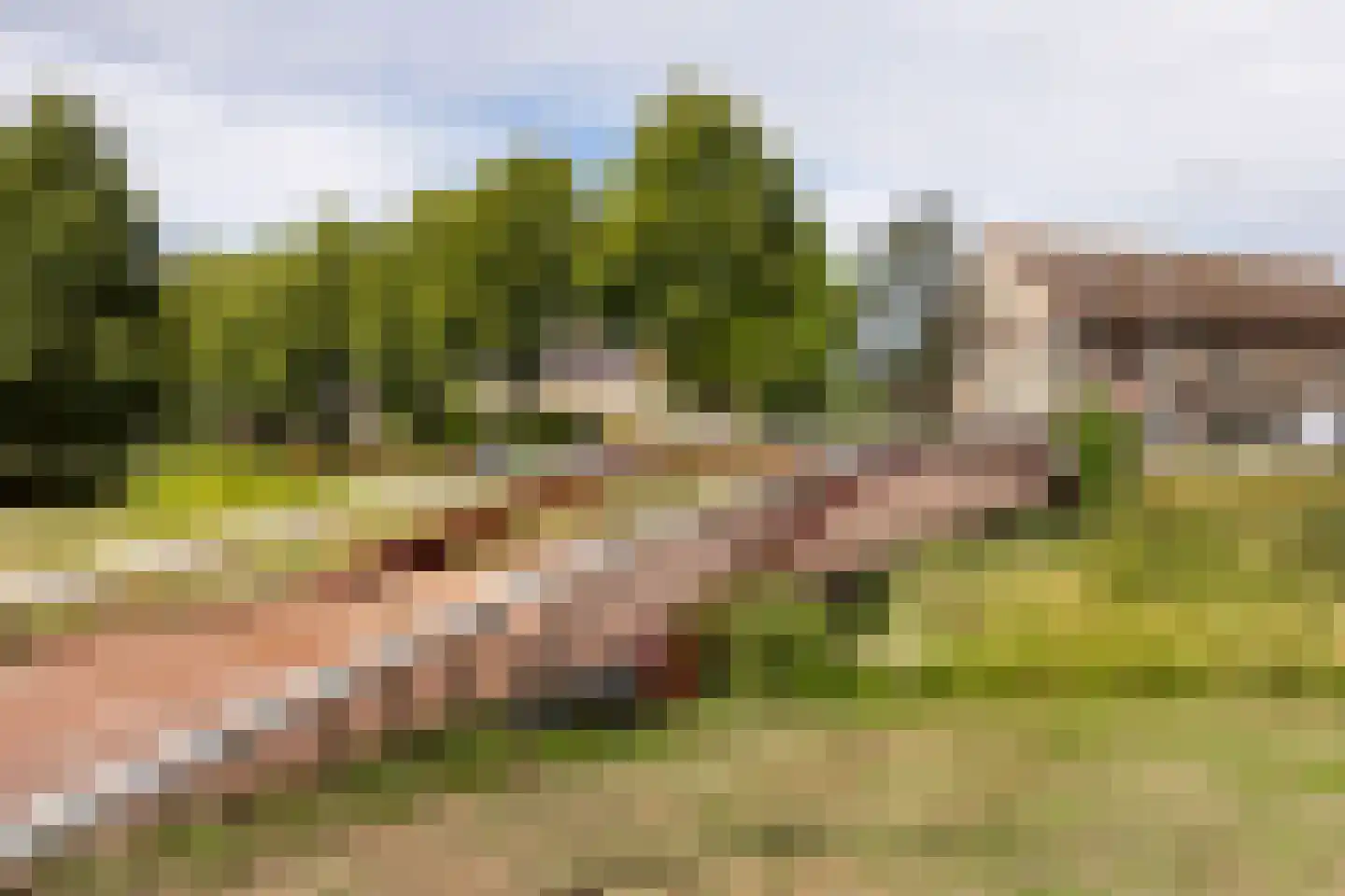 Ravelijn 9 Vijfhuizen thumbnail 29