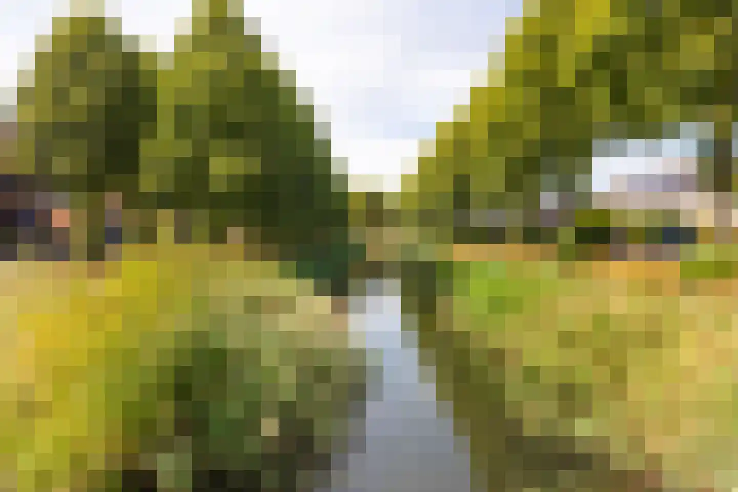 Ravelijn 9 Vijfhuizen thumbnail 30