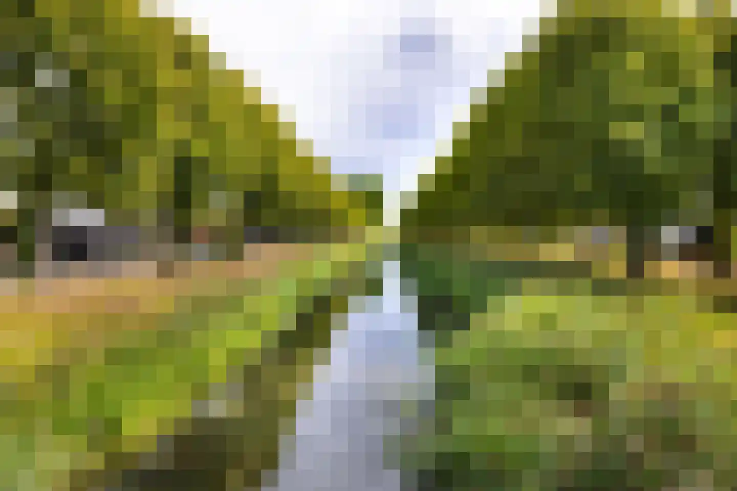 Ravelijn 9 Vijfhuizen thumbnail 31