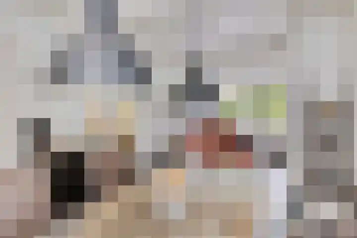 Ravelijn de Grenadier 2 Goes thumbnail 10