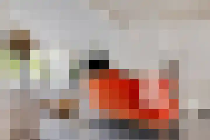 Ravelijn de Grenadier 2 Goes thumbnail 11