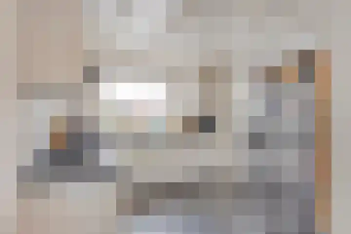 Ravelijn de Grenadier 2 Goes thumbnail 15