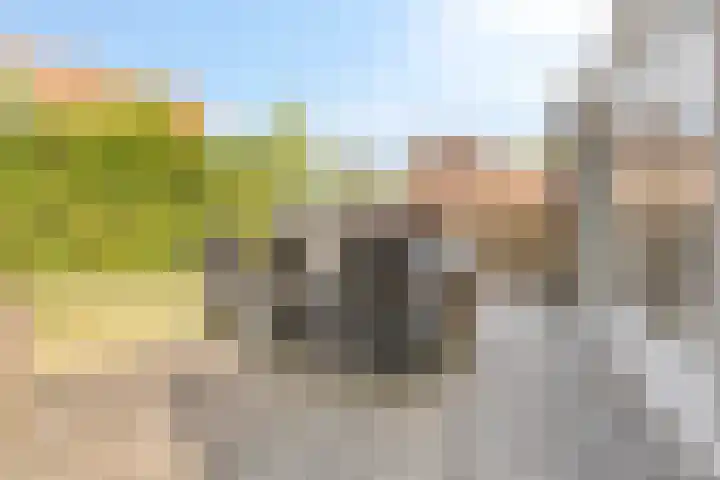 Ravelijn de Grenadier 2 Goes thumbnail 28