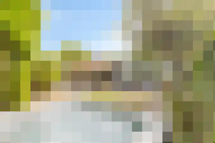 Ravelijn de Grenadier 2 Goes thumbnail 30