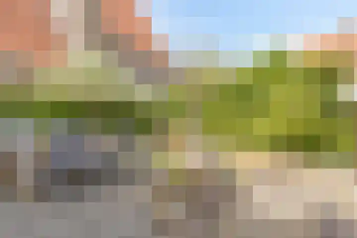 Ravelijn de Grenadier 2 Goes thumbnail 32