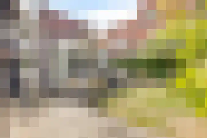 Ravelijn de Grenadier 2 Goes thumbnail 34
