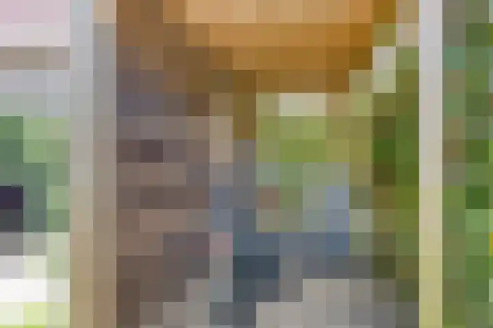 Ravelijn de Grenadier 2 Goes thumbnail 36