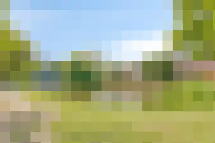 Ravelijn de Grenadier 2 Goes thumbnail 37