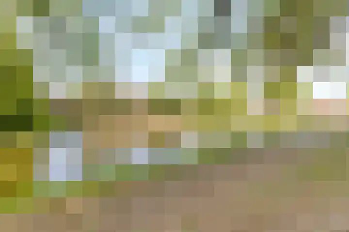Ravelijn de Grenadier 2 Goes thumbnail 38