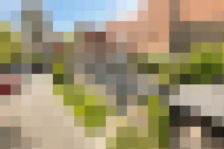 Ravelijn de Grenadier 2 Goes thumbnail 39