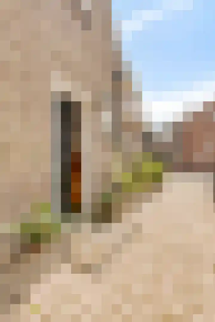 Ravelijn de Grenadier 2 Goes thumbnail 4