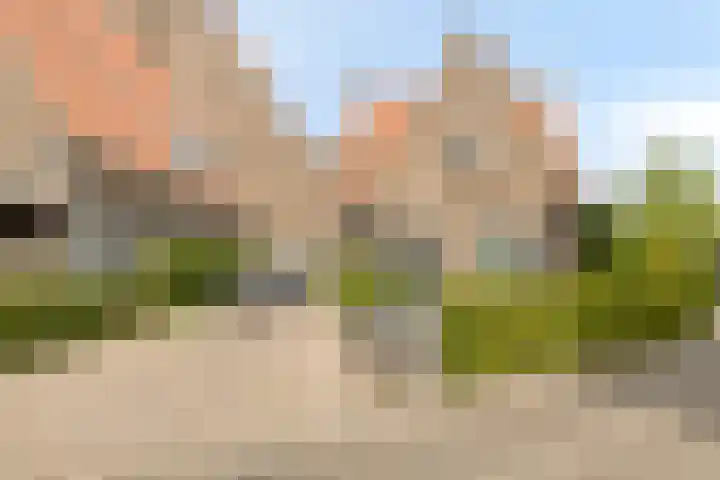 Ravelijn de Grenadier 2 Goes thumbnail 40