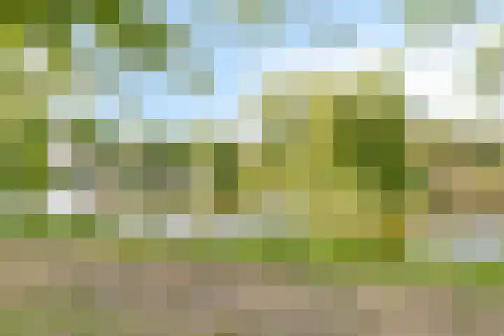 Ravelijn de Grenadier 2 Goes thumbnail 41
