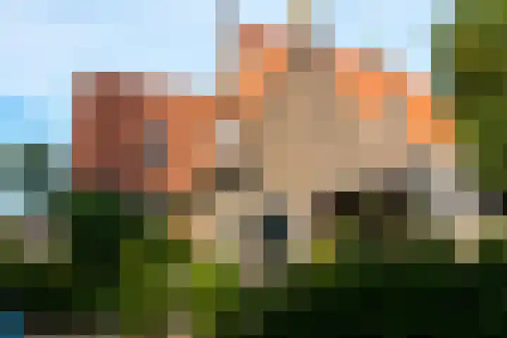 Ravelijn de Grenadier 2 Goes thumbnail 42