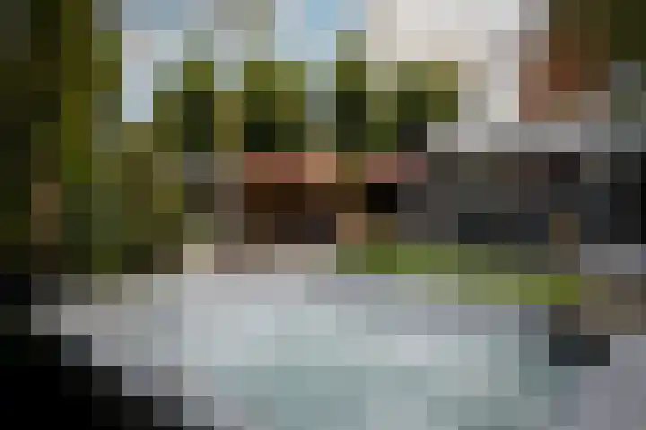 Ravelijn de Grenadier 2 Goes thumbnail 44