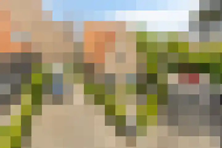 Ravelijn de Grenadier 2 Goes thumbnail 45