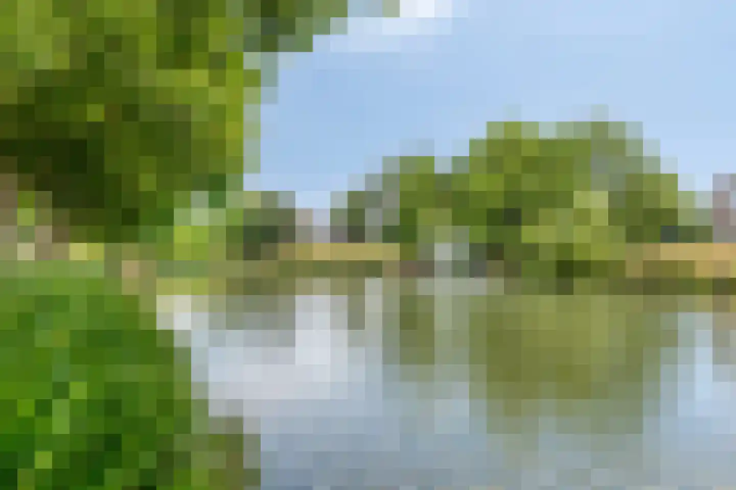 Ravelijn de Groene Jager 28 Goes thumbnail 34