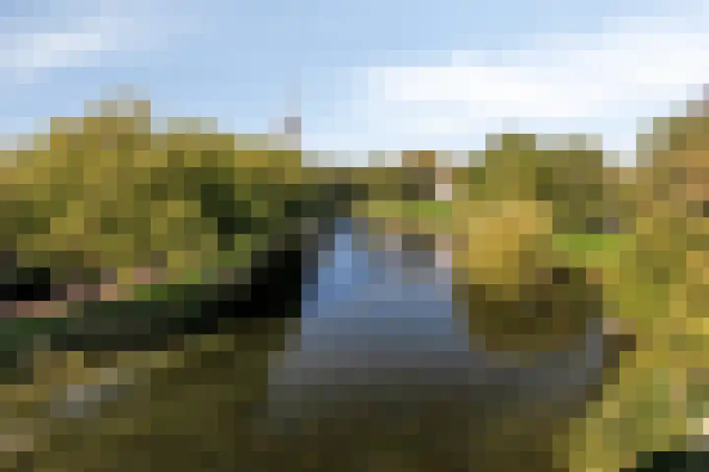 Ravelijn de Groene Jager 62 Goes thumbnail 26