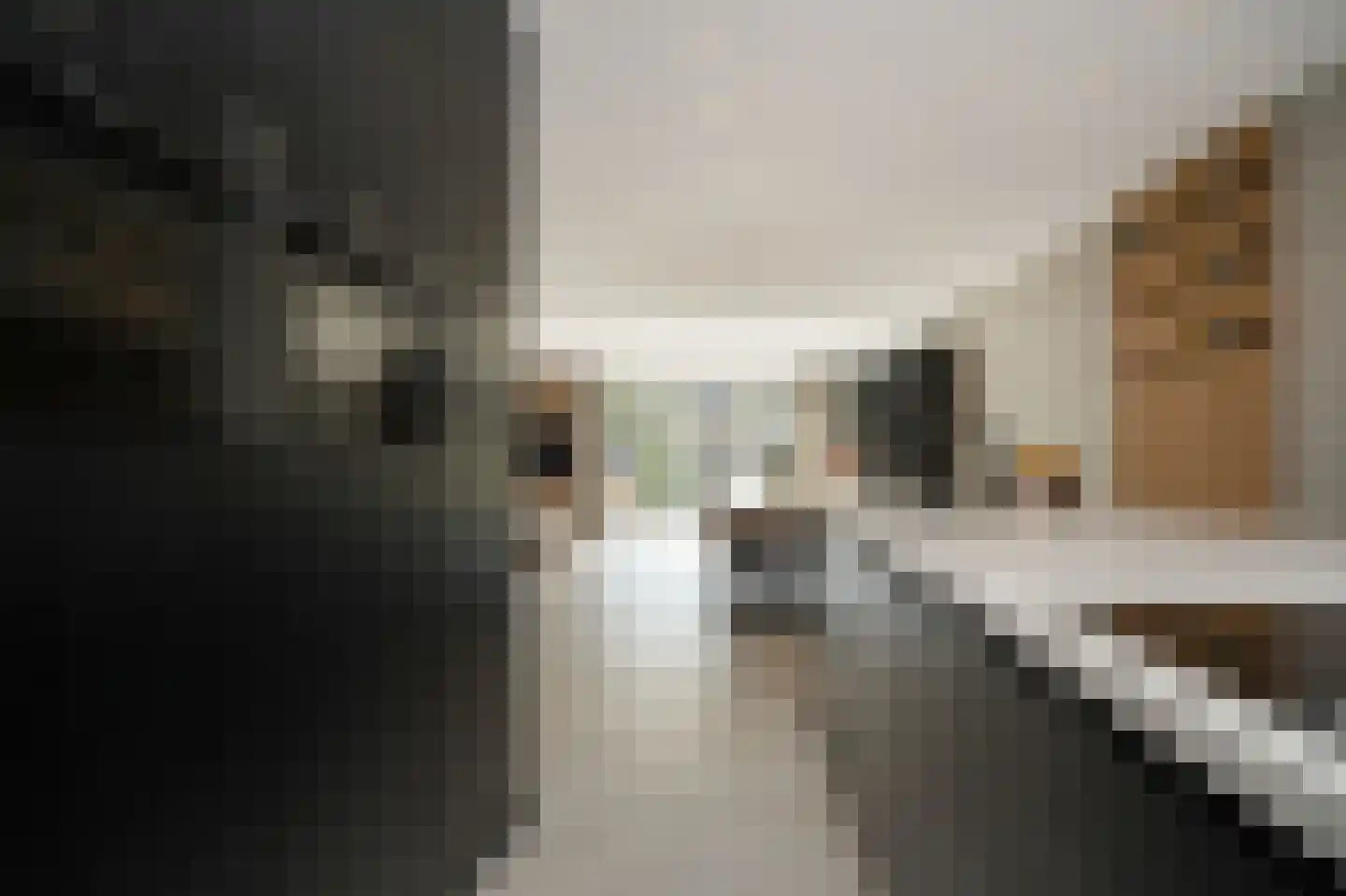 Ravelijnhof 15 Langerak thumbnail 19