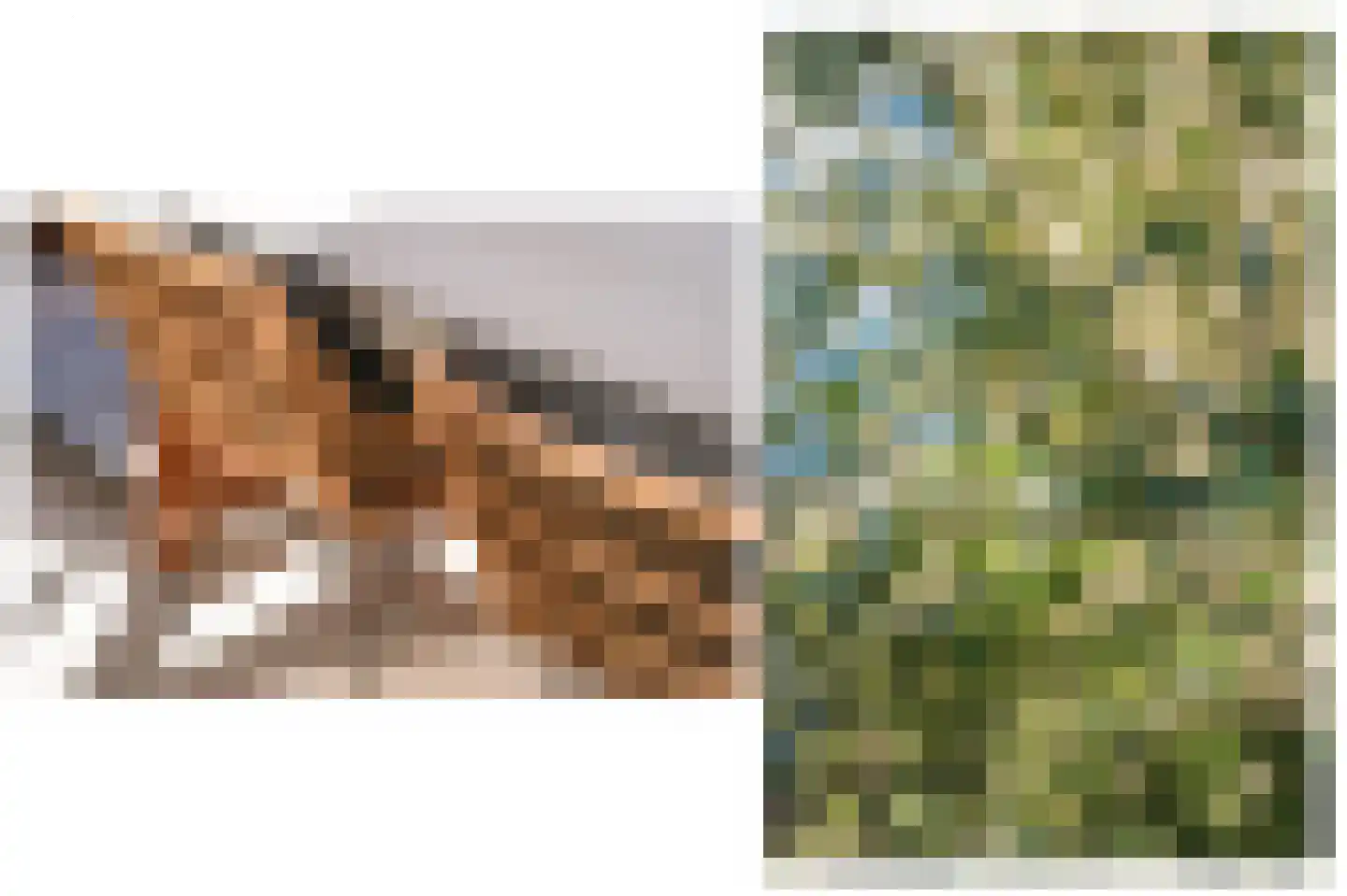 Ravelijnhof 15 Langerak thumbnail 36