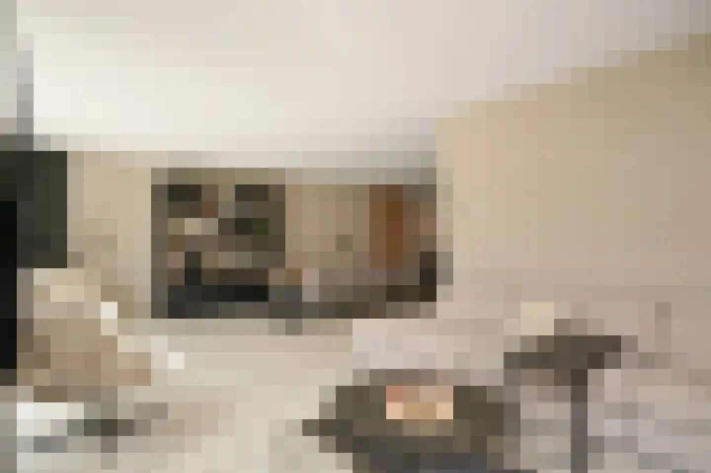 Ravelijnhof 15 Langerak thumbnail 5