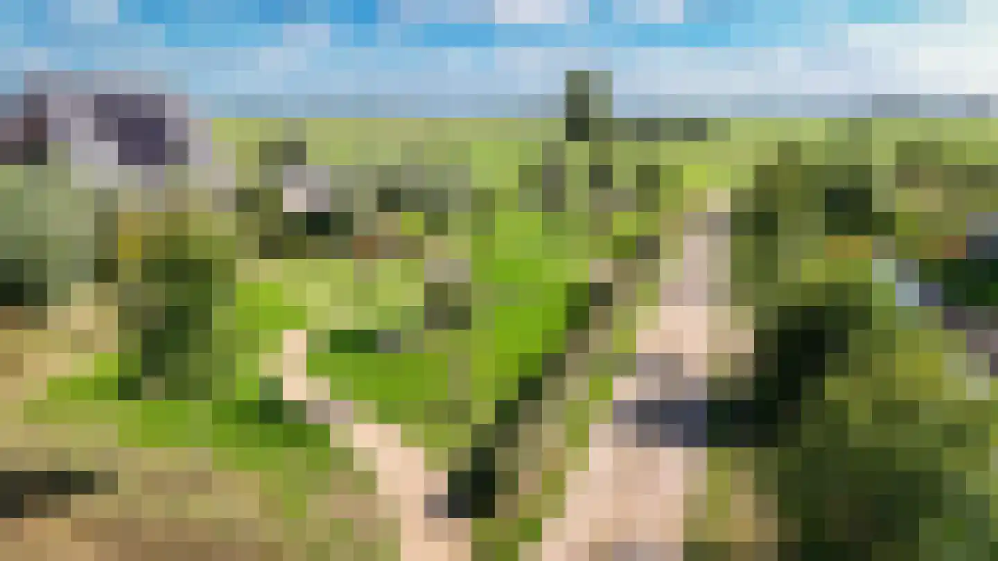 Ravelijnhof 15 Langerak thumbnail 53