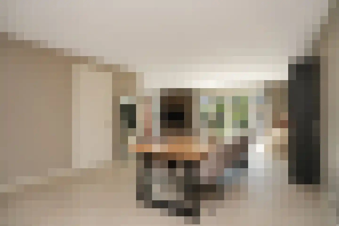 Ravelijnhof 15 Langerak thumbnail 8