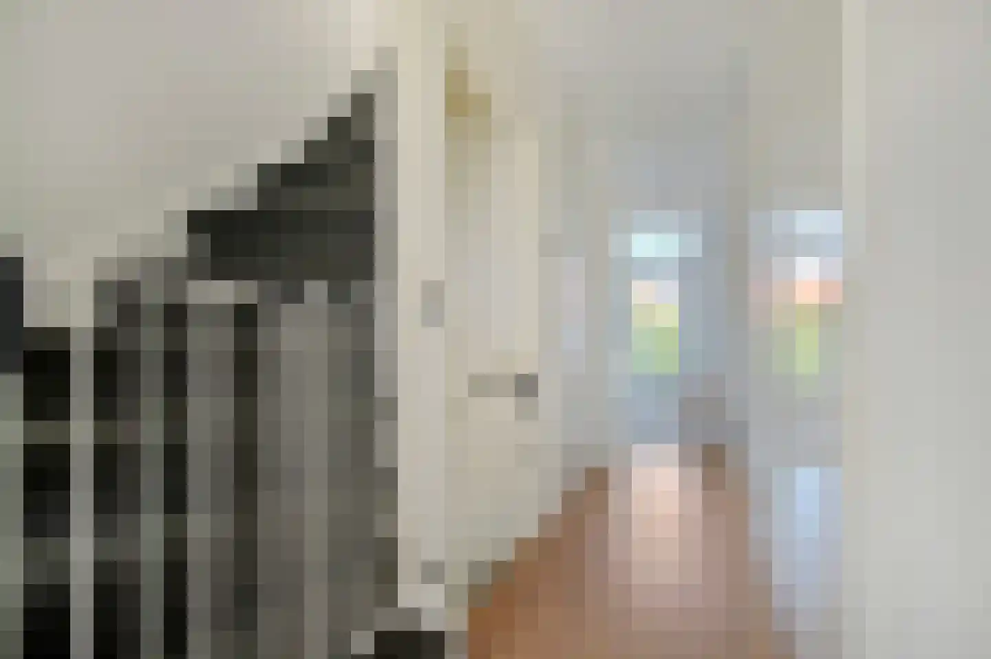 Ravelijnspad 7 Muiden thumbnail 29