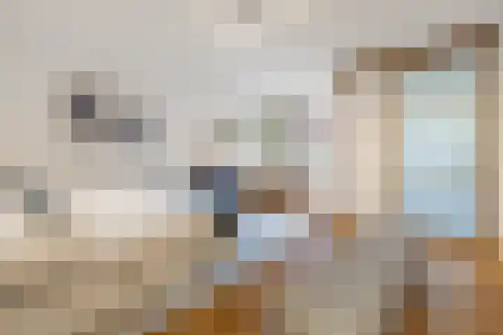 Ravelijnsplein 3 Muiden thumbnail 16